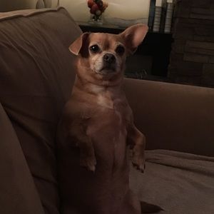 Meet your Posher, Kellie